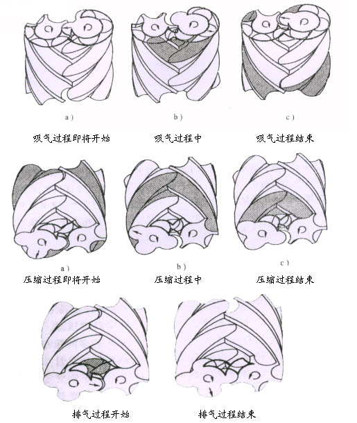 螺杆鼓风机工作原理详述