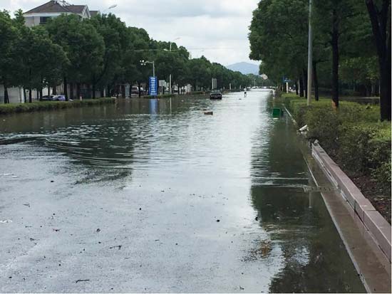 莫兰蒂过后的城市道路