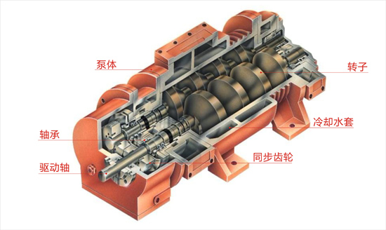 螺杆式真空泵结构