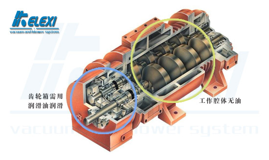 无油螺杆真空泵中的“无油”