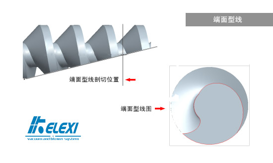 螺杆真空泵端面型线