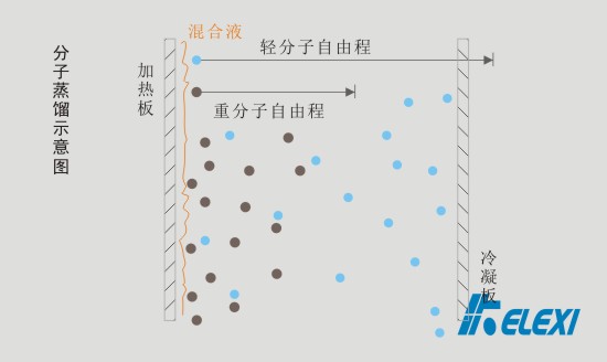 分子蒸馏示意图1