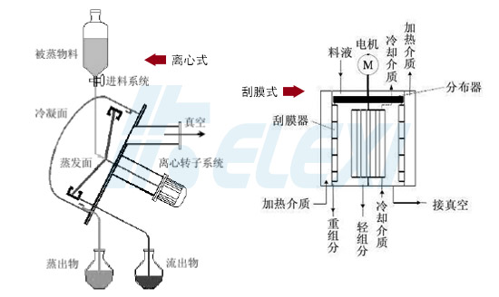 刮膜式与离心式分子蒸馏器结构