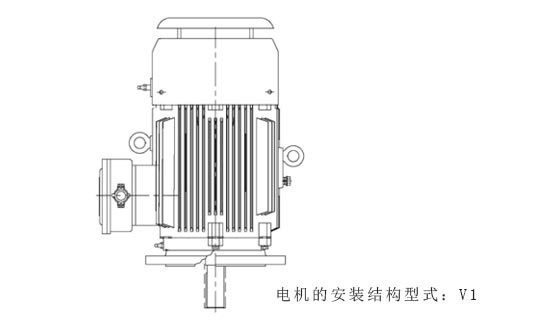 电机的安装结构型式v1